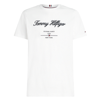 Tommy Hilfiger Heren T-shirt Mw0mw33691ybr Wit